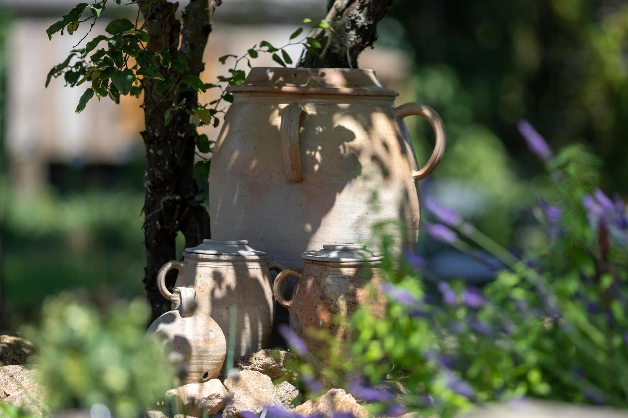 Domaine La Pomme De Pin Bed & Breakfast Louroux-de-Beaune Ngoại thất bức ảnh