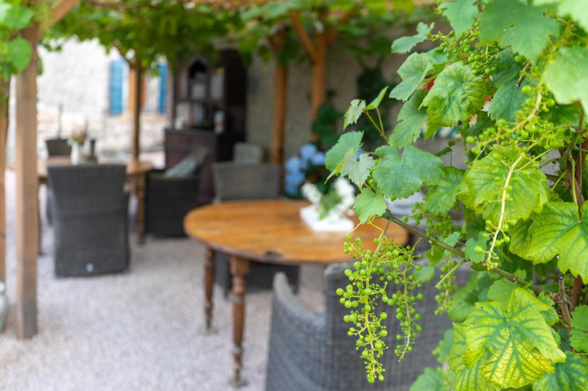 Domaine La Pomme De Pin Bed & Breakfast Louroux-de-Beaune Ngoại thất bức ảnh